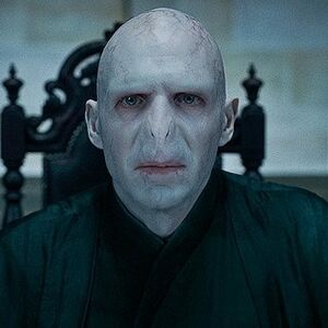 Tom Riddle Harry Potter Fandom