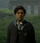 Mahendra Pehlwaan[19]