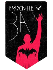 Ballycastle Bats