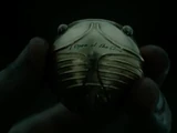 Harry Potter's first Golden Snitch