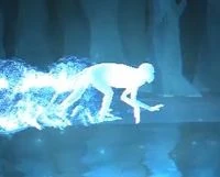 Kapucijnaap-patronus.jpg (6 kB) Kapucijnaap