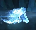 Orangutan-patronus.jpg (24 KB) Orangutan