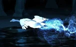 BlackSwan-patronus.jpg (50 KB) Black Swan