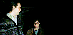 D.a. in 1998.gif