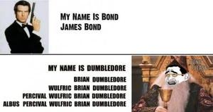 My-name-is-brian-dumbledore