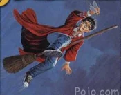 No Hands: The Seeker takes both hands off the broom in order to catch the Golden Snitch
