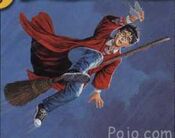 No Hands: The Seeker takes both hands off the broom in order to catch the Golden Snitch