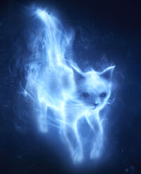 Patronus Cat2