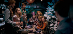 Christmas holidays, Harry Potter Wiki