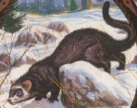 Furet