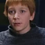 HP1GeorgeWeasley