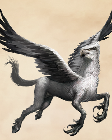 Hippogriff Harry Potter Wiki Fandom