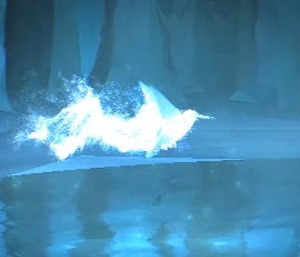 Pottermore (Appears as a Patronus) Wizarding World (Appears as a Patronus) ...