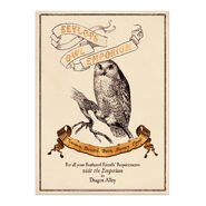 Poster Au Royaume du Hibou - £10