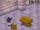 Doxy.png