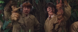 Harry and Ron handling Mandrakes in Herbology COSF