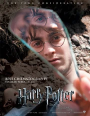 《死亡圣器（上）》冲击奥斯卡最佳摄影奖的“供你参考”海报