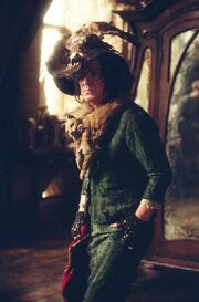 Snape-peletis