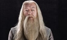 Albus D