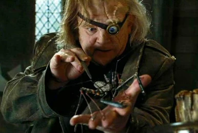 ウィンガーディアム レヴィオーサ | Harry Potter Wiki | Fandom