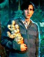 Neville Longbottom holding his cactus plant