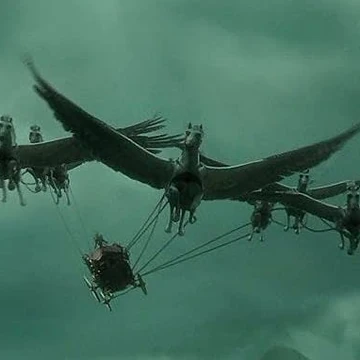 天馬 Harry Potter Wiki Fandom