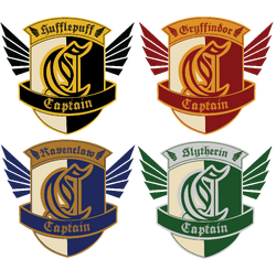 Captain badges