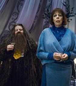 Hagrid-+-Olympe-Maxime