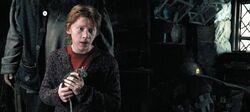 Pettigrew as Scabbers hiding in Hagrid's hut