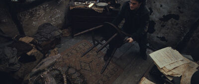 Nagini Attacks Harry