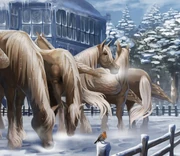 Абраксанские кони