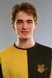 Cedrico Diggory (1993-1994) (Apanhador)