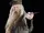 Ch Albus Dumbledore.webp