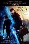 Harry Potter IMAX Poster