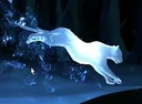 Leopardess Patronus.png (130 KB) Leopardess