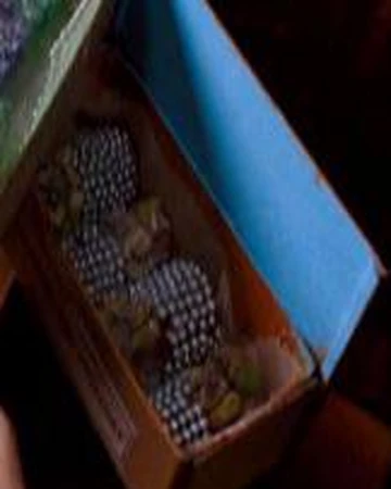 Nosebleed Nougat Harry Potter Wiki Fandom
