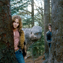 Hermione Granger Harry Potter Wiki Fandom