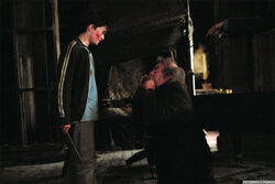 pix What Happened To Peter Pettigrew peter pettigrew harry potter wiki