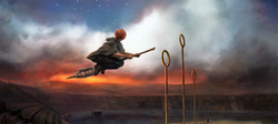 Ron Flying Firebolt