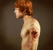 Ron Splinched in Deathly Hallows Part 1