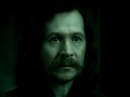 Sirius Black[6]