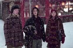 The trio in Hogsmeade