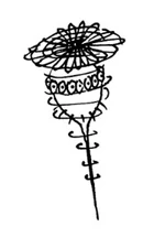 Billywig zoals getoond in 