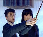 HarryChoDA.jpg