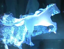 Pottermore Test Du Patronus Wiki Harry Potter Fandom