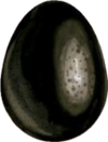 Ridgebackegg
