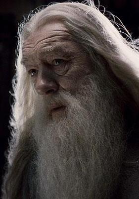 Albus Silente Harry Potter Wiki Fandom