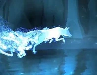 Fox-patronus