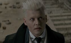 Grindelwald unmasked