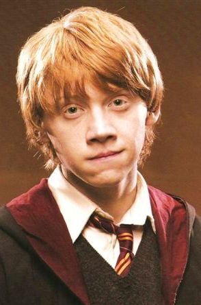 Neville Longbottom Harry Potter Wiki Fandom